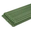 Sekey 20 x metalowe patyczki do roślin z plastikową Podgląd zdjęcia produktu 1