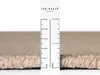 160x230 cm Kusový koberec Ted Baker Greenwich 106362 Beige Náhľad obrázku produktu 8