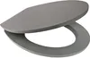 A gray toilet seat is shown from a slightly elevated angle against a white background. Produktbild-Vorschau