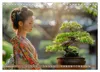Bonsai meditativ (Wandkalender 2027 DIN A4 quer), CALVENDO Produktbild-Vorschau 12
