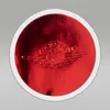 A circular red metallic sticker with the Air Jordan logo embossed on it, set against a light gray background. Produktbild-Vorschau