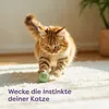 Knupis Filzbälle für Katzen - 6 Bälle Wolle - Nachhaltiges Produktbild-Vorschau 2