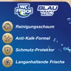 WC FRISCH Kraft-Aktiv Blauspüler Blüten-Frische, 1x 50 g Produktbild-Vorschau 4
