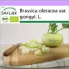 SAFLAX - BIO - Kaleráb - super topiaci sa - Brassica Náhľad obrázku produktu 10