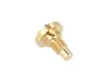 A single brass screw is shown against a white background. Produktbild-Vorschau