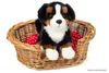 Teddy-Hermann Teddy Hermann Berner Sennenhund sitzend, 21 Produktbild-Vorschau 6