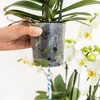 Sada v bavlněném košíku: 3 oranžové orchideje Bozen (9 cm) Náhled obrázku produktu 3