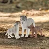 schleich WILD LIFE Wilczyca ze szczenięciem, 3 lat(a), Podgląd zdjęcia produktu 12