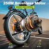 Elektrische fiets A31 voor volwassenen, 250W, 25 km/u, 36V Productafbeelding-voorbeeld 13