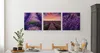 Leinwand Bilder Set 3 Bilder LAVENDEL Lavendelfeld Natur 3D Produktbild-Vorschau 6