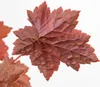 Bloomique - 6er-Set - Heuchera Micrantha Palace Purple - Produktbild-Vorschau 5
