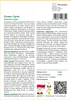 SAFLAX - Drzewo Ognia - 6 Nasiona - Delonix regia Podgląd zdjęcia produktu 3