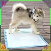 Trainingspads für Hunde & Welpen, 60x60 cm, 5-lagig, Produktbild-Vorschau 7