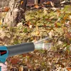 A hand holding a blue and black leaf blower, blowing air onto a pile of fallen leaves. Voir les images du produit