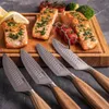Boska Steak Knives Oslo+ (4 kusy) Náhled obrázku produktu 13