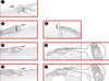 KS TOOLS Trekset 116.1050, kunststof, 115g Productafbeelding-voorbeeld 9