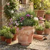 Teramico Terracotta Füße 12er Set für Pflanzkübel Produktbild-Vorschau 6