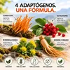 Spray Energía Adaptógeno | Cordyceps, Ginseng, Rodiola & Vista previa de la imagen del producto 3