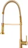 A gold kitchen faucet with a pull-down sprayer and a coiled hose, isolated on a white background. Náhled obrázku produktu