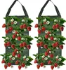 2 Stück hängende Erdbeer-Pflanzsäcke 25×60cm mit 8 Löchern, Produktbild-Vorschau 1