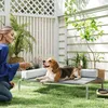 Lit pour chien d'extérieur PawHut, lit surélevé pour chiens Voir les images du produit 2