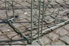CLP Arco delle rose Melissa , supporto per arrampicata con Anteprima dell’immagine prodotto 13