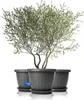 BigDean 3X Blumentopf mit Untersetzer rund ø50xH38 cm Produktbild-Vorschau 1