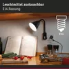 Paulmann Junus plug light Náhled obrázku produktu 6