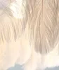 A close-up view of white feathers illuminated by soft light. Podgląd zdjęcia produktu