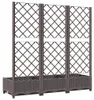 vidaXL Tuinplantpot met trellis, bruin, 120 x 40 x 121,5 Productafbeelding-voorbeeld 6