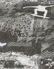 10141-34 Tapeta Sweet and Cool wzór/motyw ciemnoszara Podgląd zdjęcia produktu 5