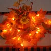 2 PCS Home Herbst Dekorationen, Thanksgiving Lichter, Produktbild-Vorschau 5