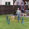 PawHut Agility Set pre psov – 4-dielna agility výbava s Náhľad obrázku produktu 2