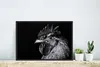 MuchoWow® MuchoWow® Gerahmtes Poster Hahn - Vogel - Schwarz Produktbild-Vorschau 5