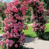 Pergola de jardin voûtée pour plantes grimpantes en métal Voir les images du produit 11