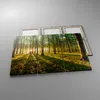 Bild auf Leinwand - Leinwandbild - Wald grün Sonnenstrahlen Produktbild-Vorschau 2
