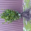 1x Rotbuche Fagus sylvatica 60-100 cm wurzelnackt Produktbild-Vorschau 4