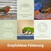 PANTO Mehlwürmer 900g Produktbild-Vorschau 6