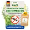 SF Nematoden gegen Ameisen- 20 Mio. für 40m² Mittel gegen Produktbild-Vorschau 1