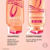L'Oréal Paris L'Oréal Paris Elvive Dream Lengths Šampon - Náhled obrázku produktu 6