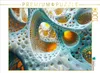 CALVENDO Puzzle Ästhetische Vielfalt in organischen Formen Produktbild-Vorschau 1