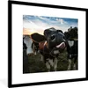 MuchoWow® Gerahmtes Poster Kuh - Tiere - Natur - Produktbild-Vorschau 1