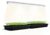 Lampada per pianteGreen Florabooster 200 60 cm Anteprima dell’immagine prodotto 1