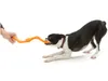 West Paw Bumi Orange - S Produktbild-Vorschau 3