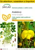 SAFLAX Kultivačný set - Arašidový - Arachis hypogaea - 8 Náhľad obrázku produktu 1