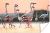 MuchoWow® Poster Gruppe von Flamingos bei Sonnenuntergang Produktbild-Vorschau 1