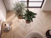 FineBuy Set di 2 vasi da fiori in metallo dorato con Anteprima dell’immagine prodotto 7