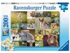 Süße Tierbabys Ravensburger 13353 Produktbild-Vorschau 1