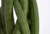Dehner Bogenhanf, sortierte Ausführung, ca. 30-40 cm, Ø Produktbild-Vorschau 4