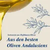 YBARRA Olivenöl Clásico Afrutado 500ml Produktbild-Vorschau 4